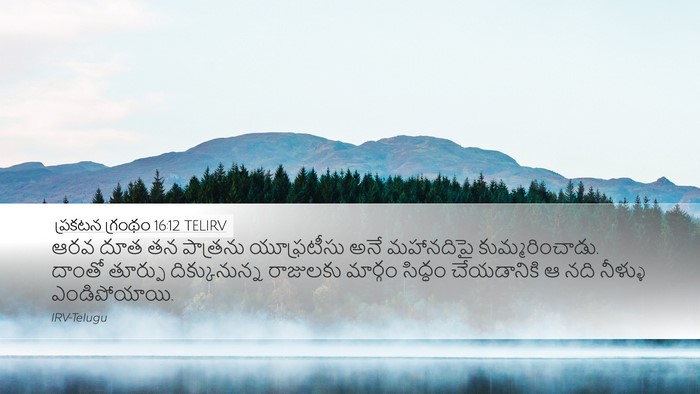 ప్రకటన గ్రంథం 16:12 TELIRV Bible Verse Image