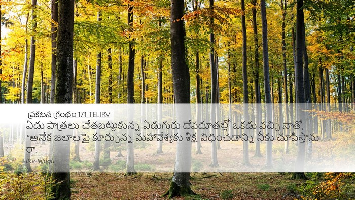 ప్రకటన గ్రంథం 17:1 TELIRV Bible Verse Image