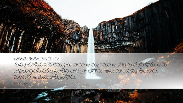 ప్రకటన గ్రంథం 17:16 TELIRV Bible Verse Image