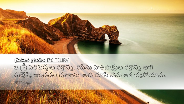 ప్రకటన గ్రంథం 17:6 TELIRV Bible Verse Image