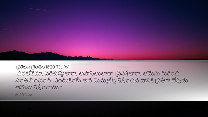 ప్రకటన గ్రంథం 18:20 TELIRV Bible Verse Image