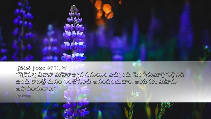 ప్రకటన గ్రంథం 19:7 TELIRV Bible Verse Image