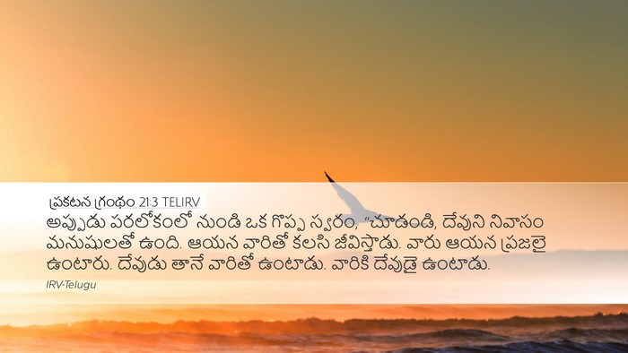 ప్రకటన గ్రంథం 21:3 TELIRV Bible Verse Image