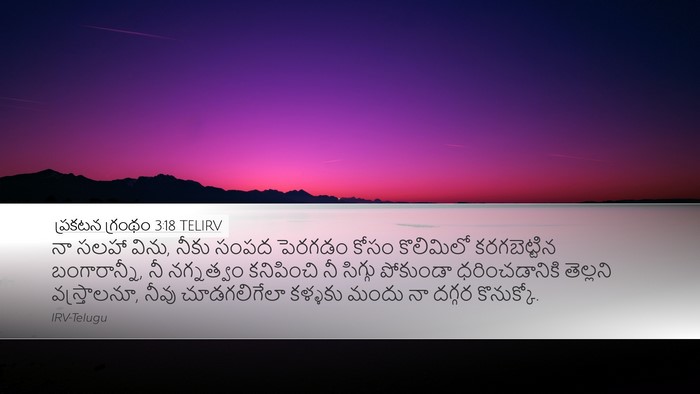 ప్రకటన గ్రంథం 3:18 TELIRV Bible Verse Image