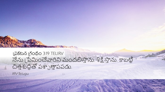ప్రకటన గ్రంథం 3:19 TELIRV Bible Verse Image
