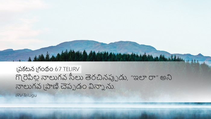 ప్రకటన గ్రంథం 6:7 TELIRV Desktop Wallpaper - గొర్రెపిల్ల - Desktop Bible Verse Wallpaper