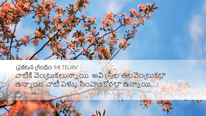 ప్రకటన గ్రంథం 9:8 TELIRV Desktop Wallpaper - వాటికి - Desktop Bible Verse Wallpaper