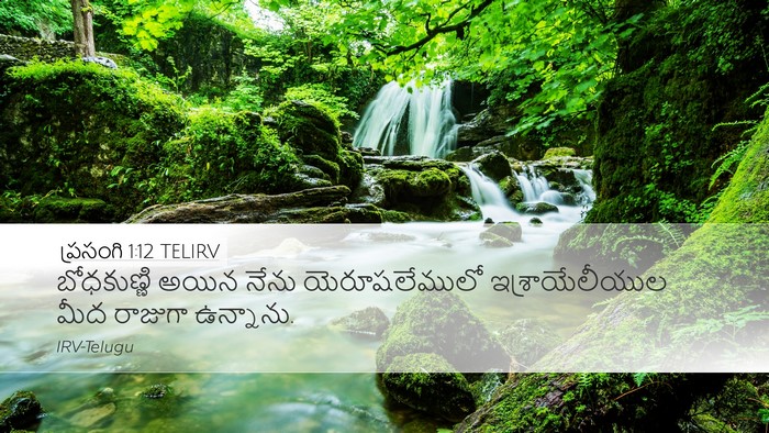 ప్రసంగి 1:12 TELIRV Bible Verse Image
