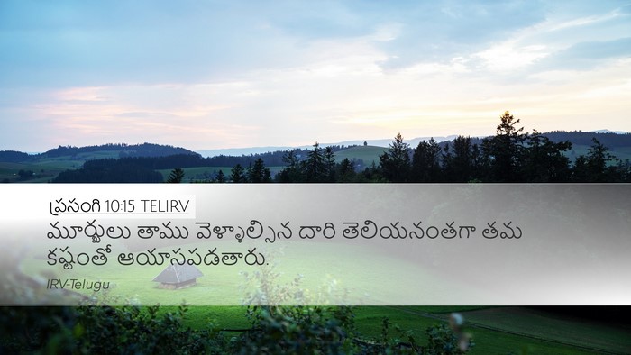 ప్రసంగి 10:15 TELIRV Bible Verse Image