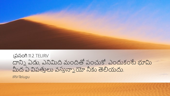 ప్రసంగి 11:2 TELIRV Bible Verse Image