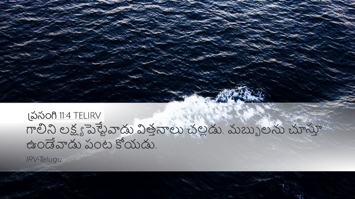 ప్రసంగి 11:4 TELIRV Bible Verse Image