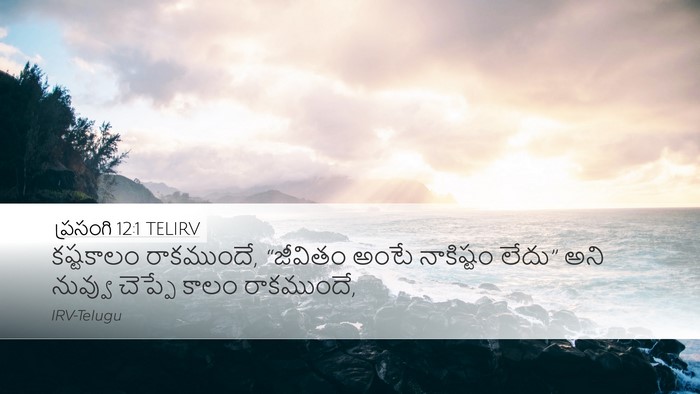 ప్రసంగి 12:1 TELIRV Bible Verse Image