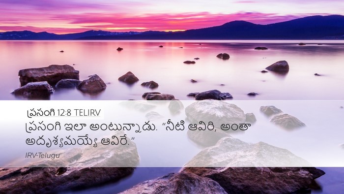 ప్రసంగి 12:8 TELIRV Bible Verse Image