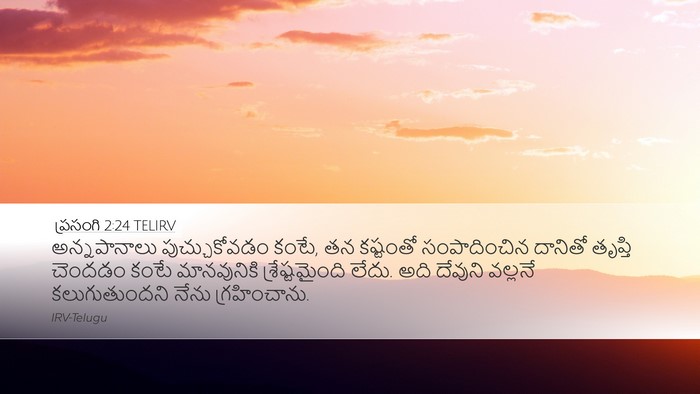 ప్రసంగి 2:24 TELIRV Bible Verse Image
