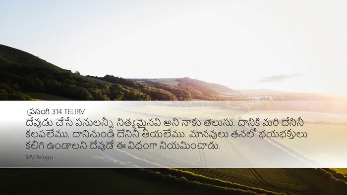 ప్రసంగి 3:14 TELIRV Bible Verse Image