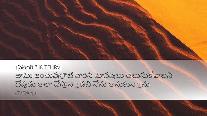 ప్రసంగి 3:18 TELIRV Bible Verse Image