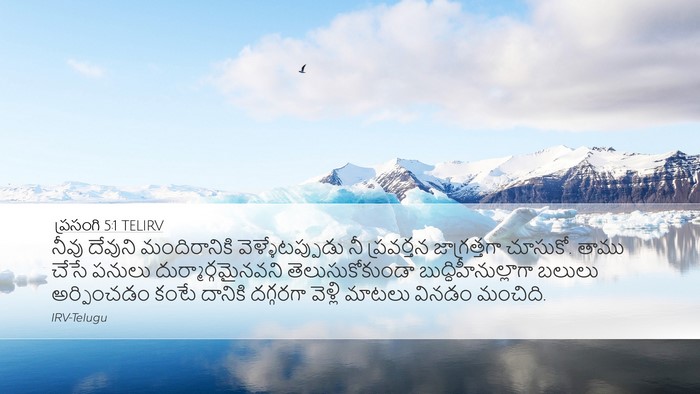ప్రసంగి 5:1 TELIRV Bible Verse Image