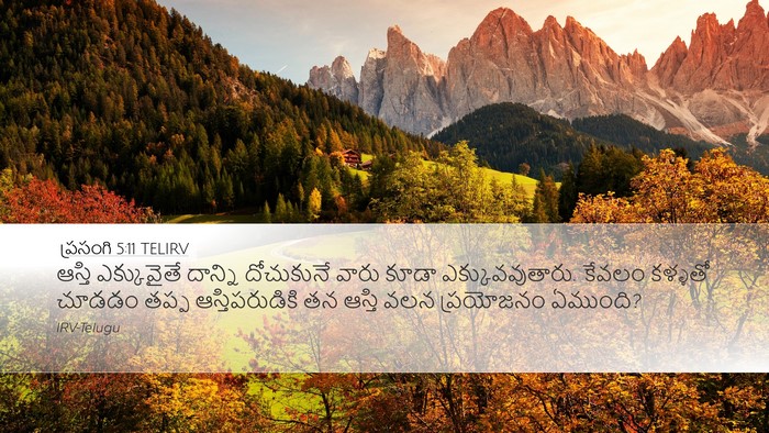ప్రసంగి 5:11 TELIRV Desktop Wallpaper - ఆస్తి ఎక్కువైతే - Desktop Bible Verse Wallpaper