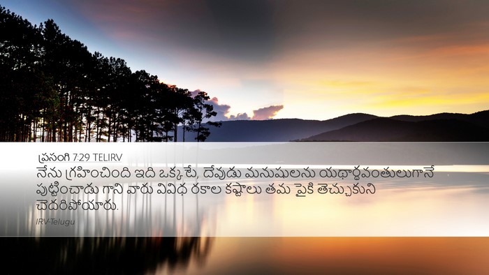 ప్రసంగి 7:29 TELIRV Bible Verse Image