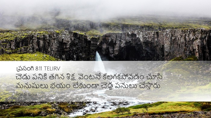 ప్రసంగి 8:11 TELIRV Bible Verse Image