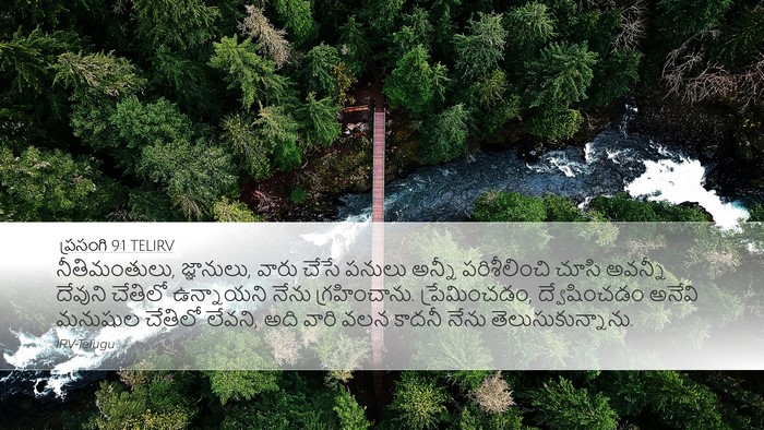 ప్రసంగి 9:1 TELIRV Bible Verse Image