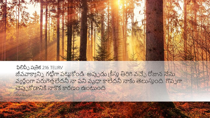 ఫిలిప్పీ పత్రిక 2:16 TELIRV Bible Verse Image