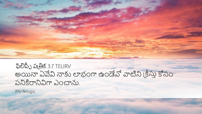 ఫిలిప్పీ పత్రిక 3:7 TELIRV Bible Verse Image