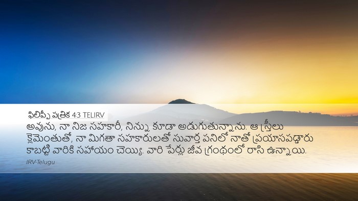 ఫిలిప్పీ పత్రిక 4:3 TELIRV Bible Verse Image