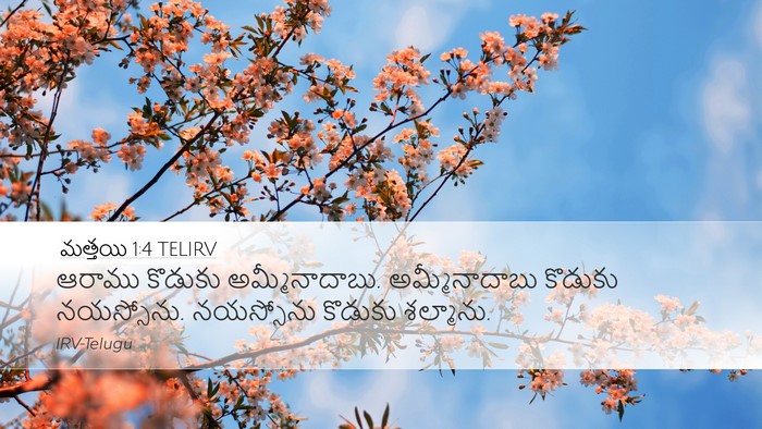 మత్తయి 1:4 TELIRV Bible Verse Image