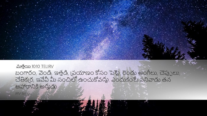 మత్తయి 10:10 TELIRV Bible Verse Image