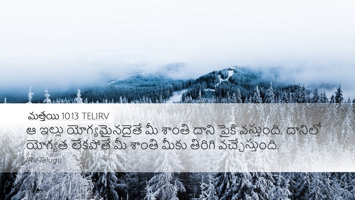 మత్తయి 10:13 TELIRV Bible Verse Image