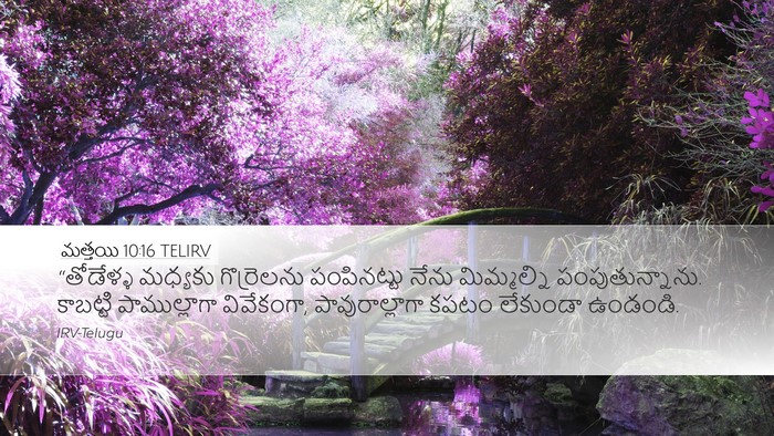 మత్తయి 10:16 TELIRV Bible Verse Image