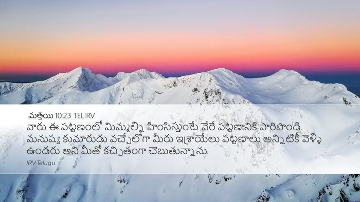 మత్తయి 10:23 TELIRV Bible Verse Image