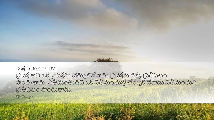 మత్తయి 10:41 TELIRV Bible Verse Image