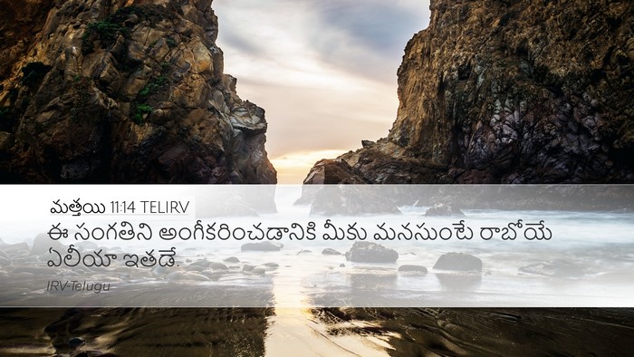 మత్తయి 11:14 TELIRV Bible Verse Image