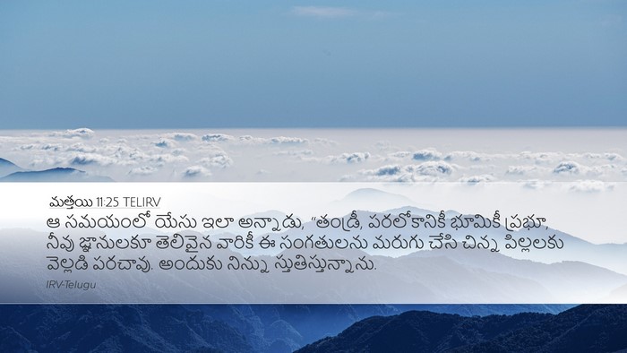 మత్తయి 11:25 TELIRV Bible Verse Image