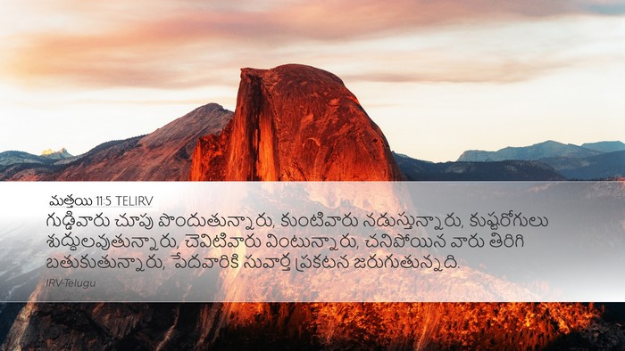 మత్తయి 11:5 TELIRV Bible Verse Image