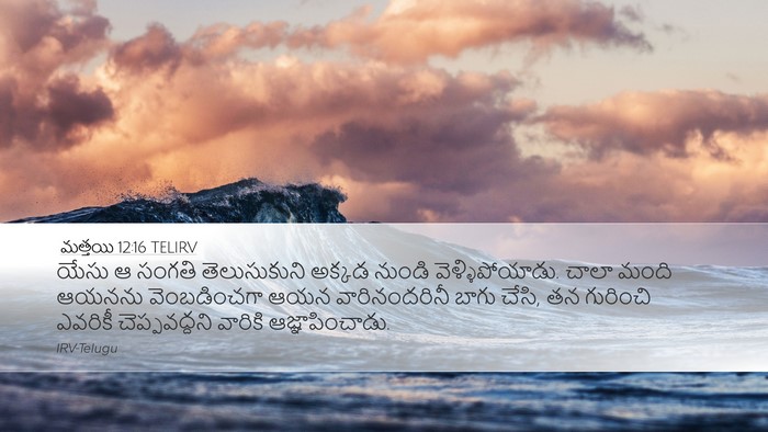 మత్తయి 12:16 TELIRV Bible Verse Image