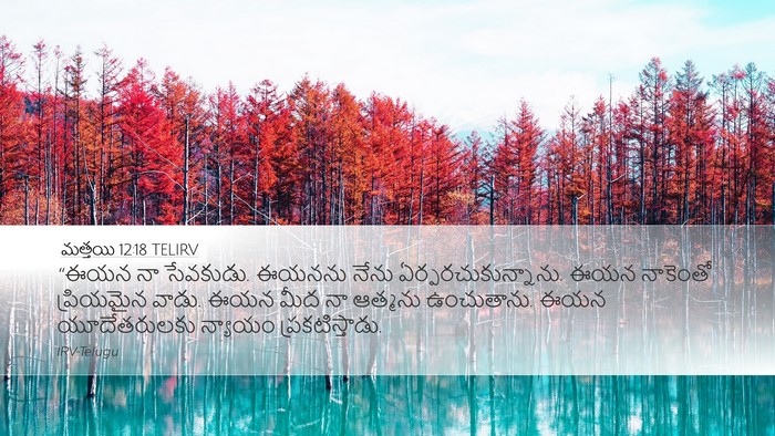 మత్తయి 12:18 TELIRV Bible Verse Image