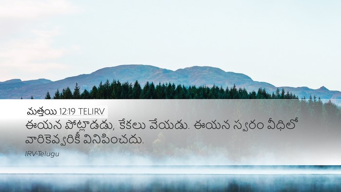 మత్తయి 12:19 TELIRV Bible Verse Image