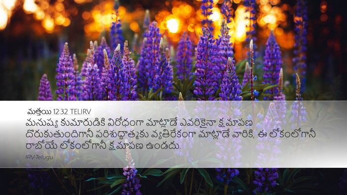 మత్తయి 12:32 TELIRV Desktop Wallpaper - మనుష్య కుమారుడికి - Desktop Bible Verse Wallpaper