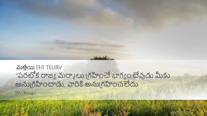 మత్తయి 13:11 TELIRV Bible Verse Image
