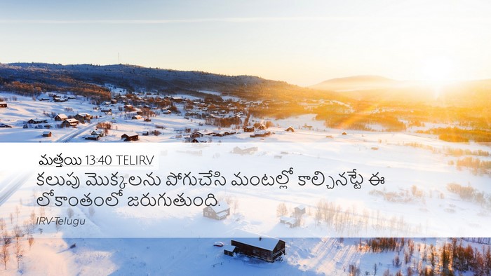 మత్తయి 13:40 TELIRV Desktop Wallpaper - కలుపు మొక్కలను - Desktop Bible Verse Wallpaper