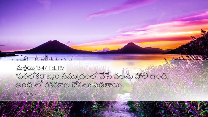 మత్తయి 13:47 TELIRV Bible Verse Image