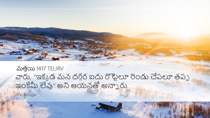 మత్తయి 14:17 TELIRV Bible Verse Image