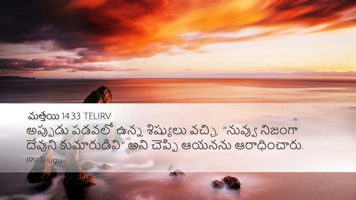 మత్తయి 14:33 TELIRV Bible Verse Image