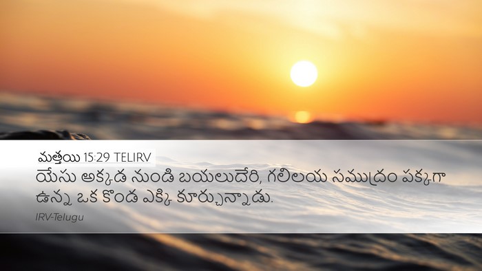 మత్తయి 15:29 TELIRV Bible Verse Image