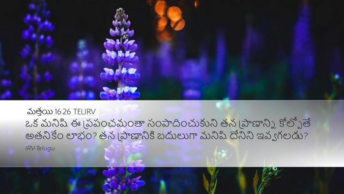మత్తయి 16:26 TELIRV Bible Verse Image