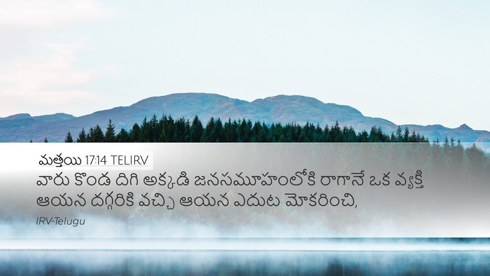 మత్తయి 17:14 TELIRV Bible Verse Image