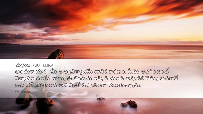 మత్తయి 17:20 TELIRV Bible Verse Image